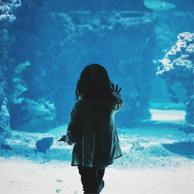 Young child resting hand on large aquarium looking in.